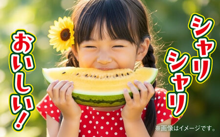 【2026年5月より発送】すいか 金色羅皇 1玉入り 約8kg以上 すいか[AYDA008]