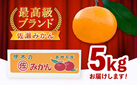 ※【2026年11月より順次発送／先行予約】【食べる濃厚ジュース】佐瀬みかん 5kg / みかん ミカン 蜜柑 オレンジ 柑橘 フルーツ ふるーつ 果物 くだもの みかんジュース 甘い / 諫早市 / 一正[AHFL001]