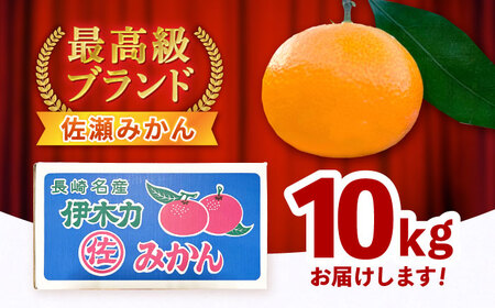 ※【2026年11月より順次発送／先行予約】【食べる濃厚ジュース】佐瀬みかん 10kg / みかん ミカン 蜜柑 オレンジ 柑橘 フルーツ ふるーつ 果物 くだもの みかんジュース 甘い / 諫早市 / 一正[AHFL002]
