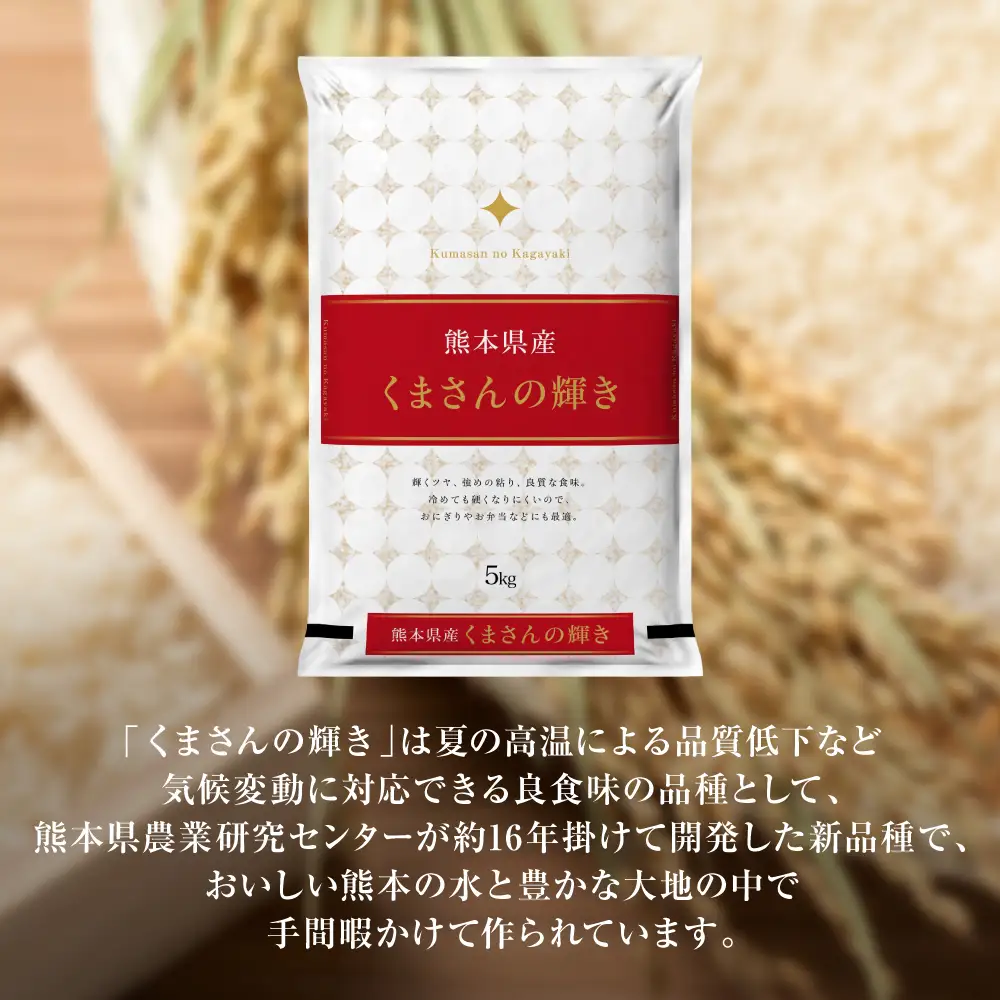 【令和7年産】 熊本県産 くまさんの輝き 5kg (5kg×1袋) 米 お米 精米 白米 ごはん ご飯 熊本県 八代市