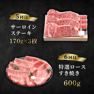 近江牛 6ヶ月定期便 天守コース【近江牛定期便】