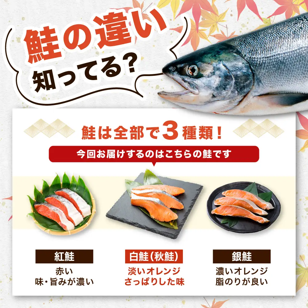 北海道産 定塩 鮭 切身 23切