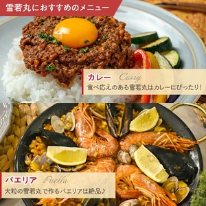 3ヶ月 定期便 令和7年産 雪若丸 5kg×3回 計15kg