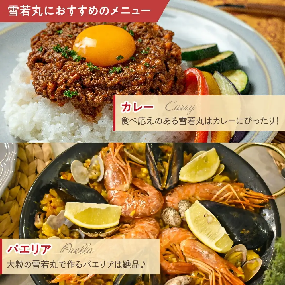 令和7年産 雪若丸 5kg 精米 山形