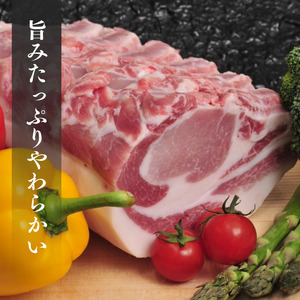 【9ヶ月定期便】千葉県産 下山農場 SPF豚 「 ほころぶた 」（ 焼き肉用 ） ／ SPF豚 豚肉 ほころぶた 焼き肉 焼肉 ロース 肩ロース 定期便