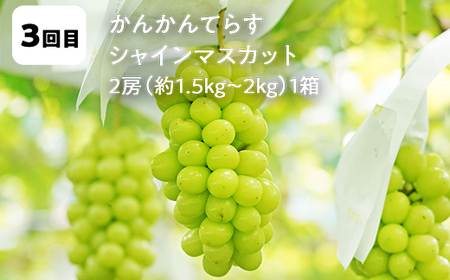 【2026年から発送開始】鏡石町 まきばのフルーツ定期便（桃 約2kg・和梨 約3kg・シャインマスカット2房）モモ もも ナシ なし ブドウ ぶどう 福島県 鏡石町  F6Q-388