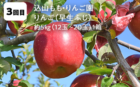 【2026年発送】鏡石町 まきばのフルーツ定期便（桃2kg・和梨3kg・りんご5kg）モモ もも ナシ なし リンゴ 福島県 鏡石町  F6Q-390