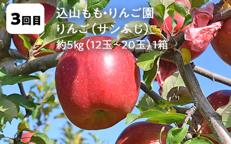 【2026年から発送開始】鏡石町 まきばのフルーツ定期便（桃2kg・和梨3kg・りんご5kg・いちご500g）モモ もも ナシ なし リンゴ イチゴ 苺 福島県 鏡石町  F6Q-391