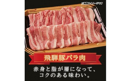 飛騨豚 国産 豚肉 しゃぶしゃぶ セット ロース 300g | バラ 400g 29-206 ブランド豚 ファミリーストアさとう 29-206 CY025VC13