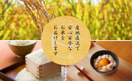 【定期便12回】令和7年産 にじのきらめき 5kg 美山町産 こと美山米