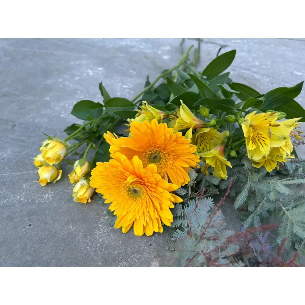 素材を楽しむ季節のお花＊ハーフ＊(全12回)
