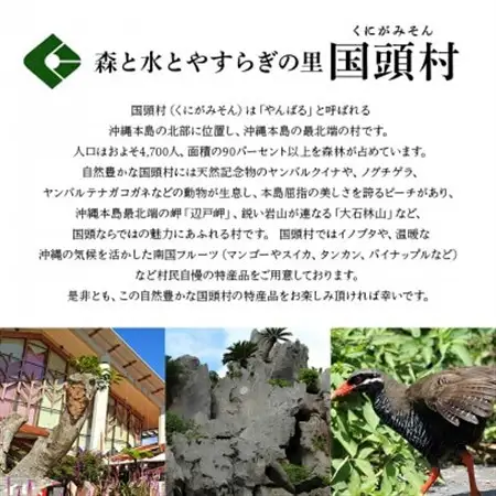 【発送月固定定期便】沖縄2大フルーツセット アップルマンゴー＆パイナップル全2回【配送不可地域：離島】【4078648】