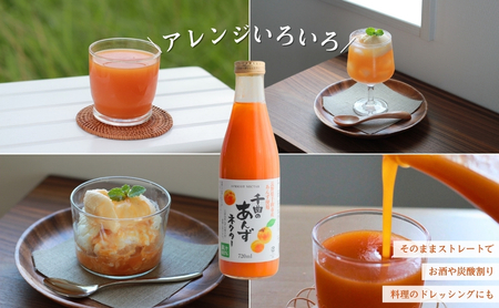 【3か月定期便】信州 千曲のあんずネクター ジュース  720ml 6本セット｜ ジュース 長野県産 千曲市