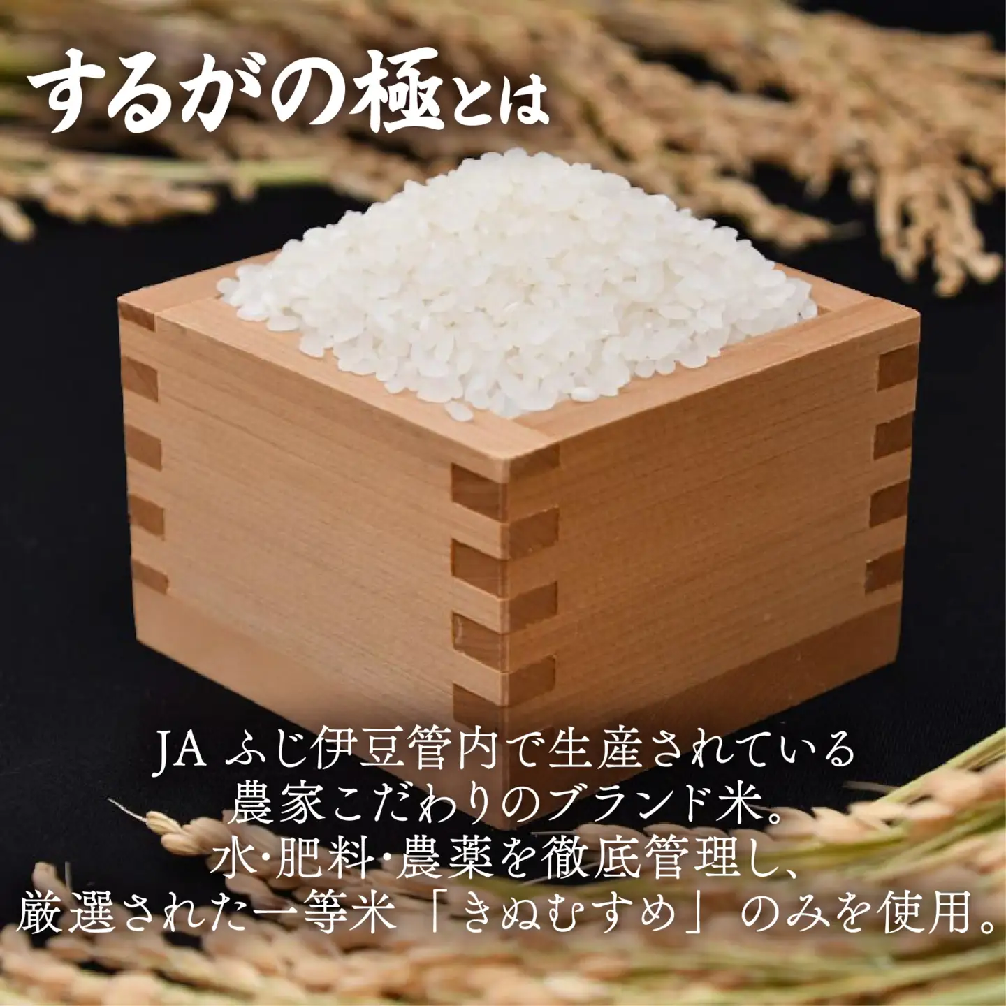 きぬむすめ 4kg 2kg × 2袋 令和7年 するがの極 米 コメ こめ ラブライブ 長泉