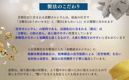 天日干し２年 火入れしない生の塩 「極楽塩」 1kg×20袋 金箔 貝カルシウム入り 食べる楽しさを極め 食塩 食卓塩 海塩 調味料