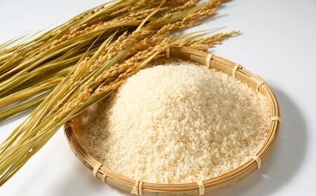 【令和7年産】茨城県産コシヒカリ 5kg	米 お米 おこめ コメ 白米 精米 ご飯 ごはん コシヒカリ こしひかり 茨城県 守谷市