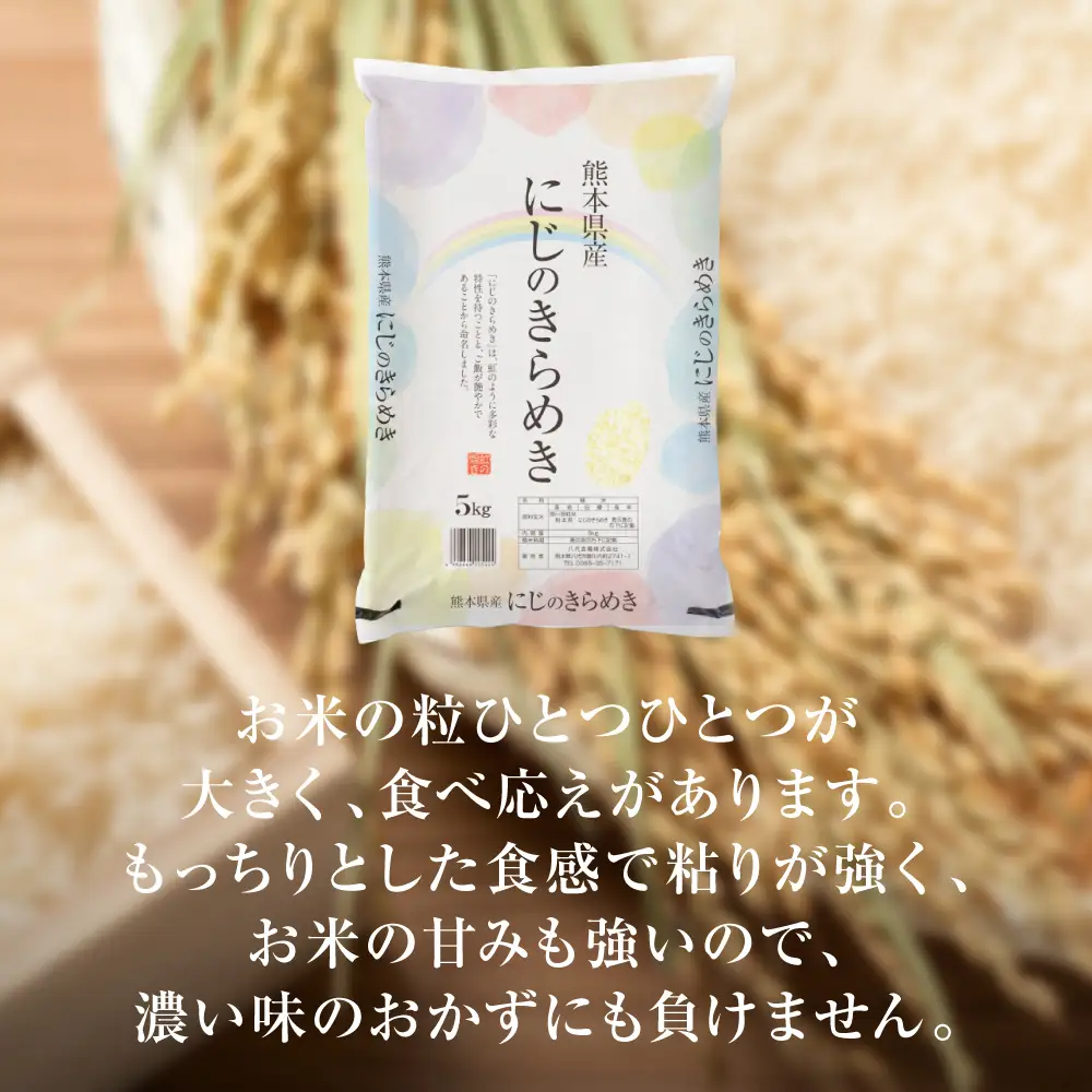 【令和7年産】  熊本県産 にじのきらめき5kg（5kg×1袋） 米 お米 精米 白米 ごはん ご飯 熊本