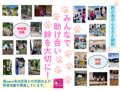 【返礼品なし】猫愛護活動支援 NFN642 【100PT】// 特定非営利活動法人　種子島 島neco会