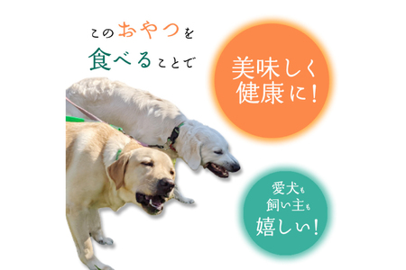 ドッグフード 無添加 FUJIDOG さつまいも入り鹿肉チップス100g [FUJIDOG 山梨県 韮崎市 20745303] 