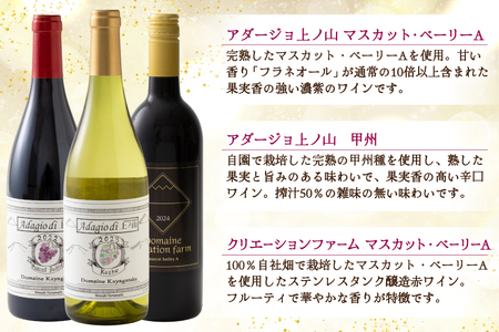 韮崎産 赤白スパークリング12本 お得な飲み比べセット 750ml ×11本 720ml ×1本 [株式会社まあめいく 山梨県 韮崎市 20745323] 