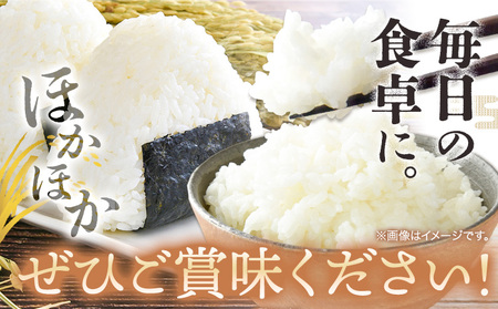 【令和7年産】 無洗米 8kg お米 8キロ 国産 岡山県産 きぬむすめ 8kg(2kg×4袋) 全農パールライス株式会社《30日以内に出荷予定(土日祝除く)》 岡山県 浅口市 送料無料 こめ 精米 きぬむすめ お取り寄せ