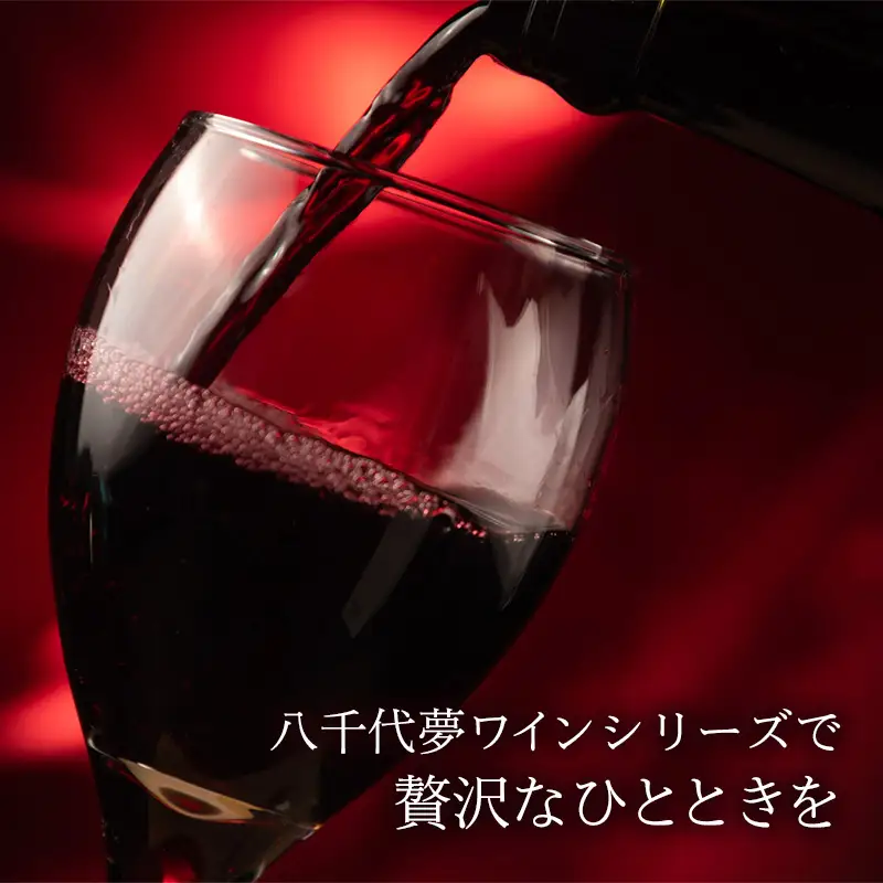 八千代夢ワイン シリーズ ヤマ・ソーヴィニョン（赤ワイン）1本（茨城県共通返礼品・八千代町）／国産 酒 アルコール ぶどう ギフト