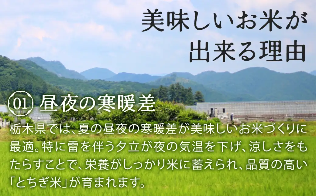 栃木県鹿沼市産 とちぎの星 無洗米 令和7年産 2kg | 水稲うるち精米 単一原料米 お米 特A 大粒 甘さ ※沖縄・離島への配送不可