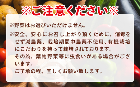 こだわりの新鮮野菜 12回定期 Waf-0006