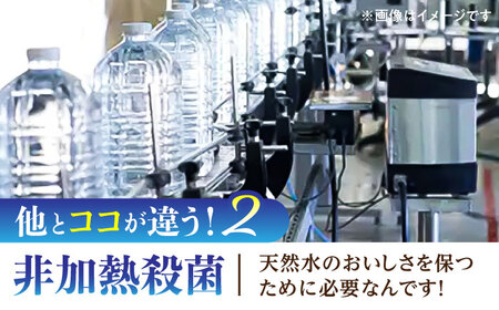 【全6回定期便】阿蘇山天然水 330ml 計48本(24本×2ケース) ミネラル BHDG021 ミネラル