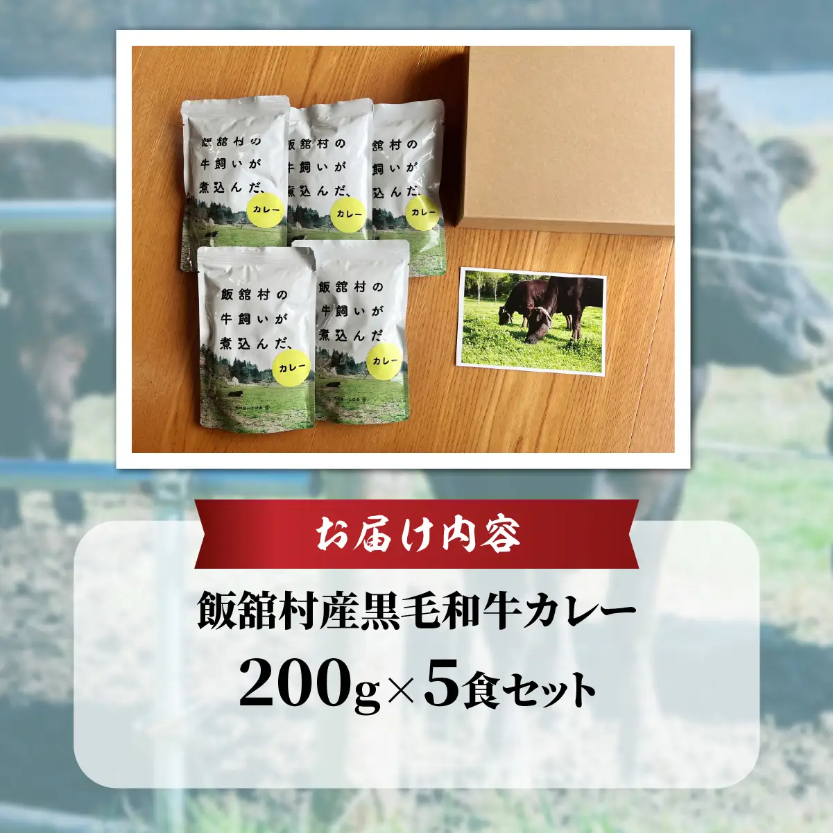 飯舘産黒毛和牛カレー　5食セット ITTAH009