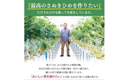 2027年発送 いちご さぬきひめ 約500g 苺いちご