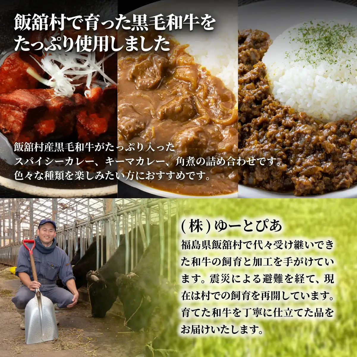 飯舘産黒毛和牛レトルト3食セット ITTAH012