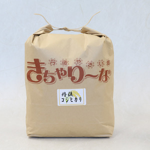 【玄米】定期便 3回 令和7年産 丹後コシヒカリ 玄米 10kg