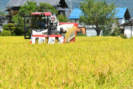 米 令和7年 長野県産 コシヒカリ 5kg（無洗米） [大北農業協同組合 長野県 池田町 48110834] 