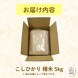 米 こしひかり 5kg 農家直送 特別栽培米 