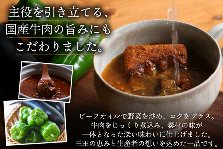 三田で育ったなすとピーマンのビーフシチュー 10食入 [コスモス食品 兵庫県 三田市 3d28bae190062] 