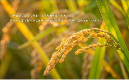 【無洗米】頑固米屋のこだわり米 ひなたまる 5kg×2袋 計10kg【西山食糧】お米 米 ひなたまる 新品種 佐賀県産米 K30-6
