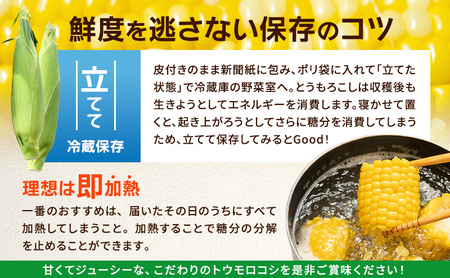 とうもろこし 味来 家庭用 10本 訳アリ トウモロコシ 宮城県産 甘い 夏 朝採れ 訳あり 産地直送 宮城県 大河原町