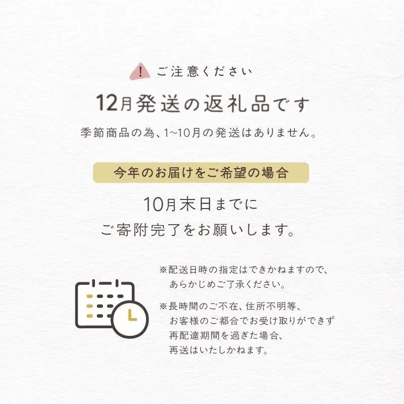 ＜2026年12月発送＞salut!! Xmasシュトーレン【スイーツ 洋菓子 ケーキ おすすめ ラム酒 ドライフルーツ ナッツ デザート パン ギフト 贈り物】_0026-001-se5-12