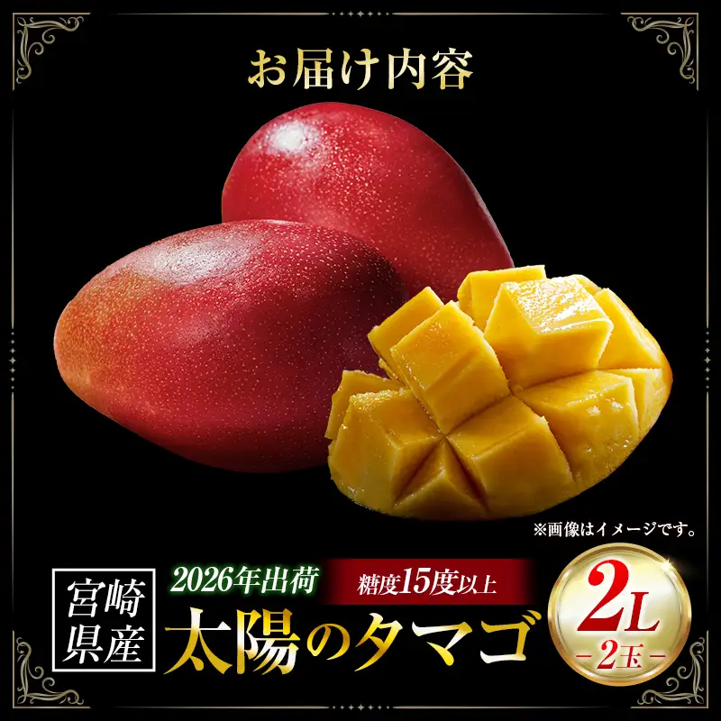 完熟マンゴー「太陽のタマゴ」 2L×2玉（フルーツ マンゴー 完熟マンゴー アップルマンゴー 果物 くだもの 先行受付 2026 令和8年 宮崎）