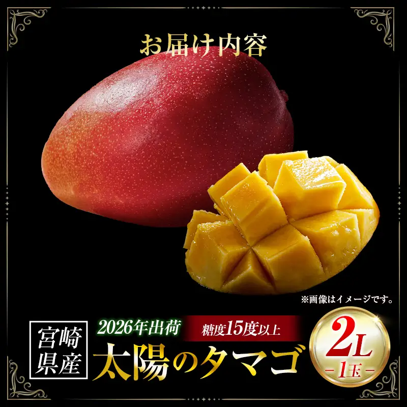 完熟マンゴー「太陽のタマゴ」 2L×1玉（フルーツ マンゴー 完熟マンゴー アップルマンゴー 果物 くだもの 先行受付 2026 令和8年 宮崎）