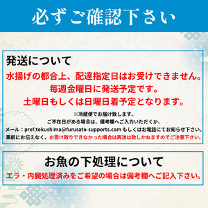 鮮魚ボックス 4種 定期便 4回 鮮魚