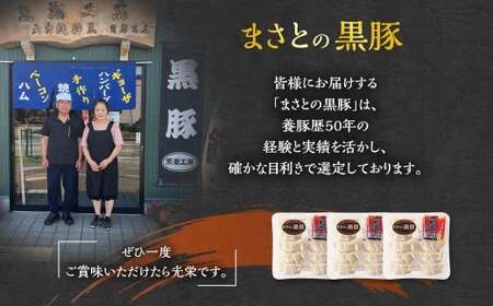 ＜黒豚手作りギョーザセット 30個＞2か月以内に順次出荷 220g×3パック ギョウザ 餃子 ぎょうざ 黒豚 惣菜 おかず 冷凍 宮崎県 高鍋町【c1527_ks】