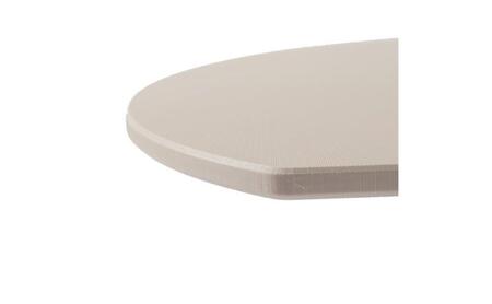 ホームコーディ　抗菌まな板　D型 L イオンリテール 日用品
