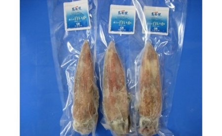 【便利な個包装】高級朝どれ白いか丸ごと3本セット【ぜひお刺身で！】｜イカ 剣先イカ 烏賊 母の日 父の日