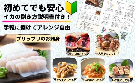 旨味たっぷり！旬の朝どれ寒シマメ（スルメイカ）丸ごと5～6本（1kg以上）＜便利な個包装＞お歳暮 お正月
