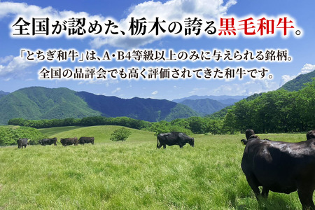日光和牛 肩ロース しゃぶしゃぶ・すき焼き用スライス 600g 日光産とちぎ和牛 [0836]