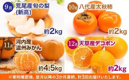 【 3か月 連続 定期便 】 熊本県 フルーツ 3ヶ月 定期便 果物 くだもの 旬 いちご 柑橘 スイカ メロン 柿 梨