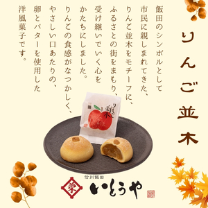 ふるさと 銘菓 詰め合わせ （ 12個入 ）| 菓子 和菓子 職人 老舗 詰め合わせ セット 栗 りんご きんつば 和 スイーツ デザート 手土産 長野県 飯田市