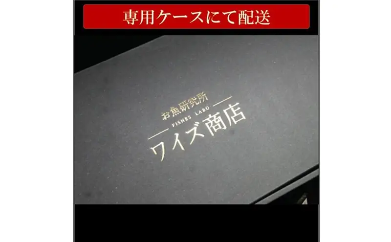 博多名物 胡麻さば ５パック